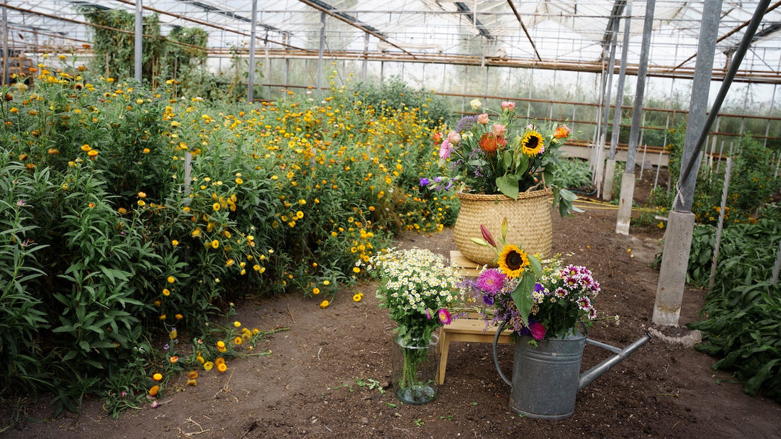 Verschil biologische en reguliere bloemen, vers seizoensboeket Pluukz
