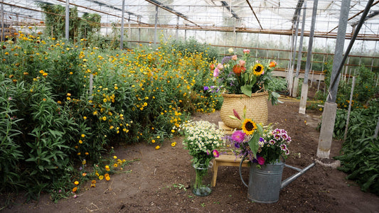 prachtige natuur bloemen van pluukz 