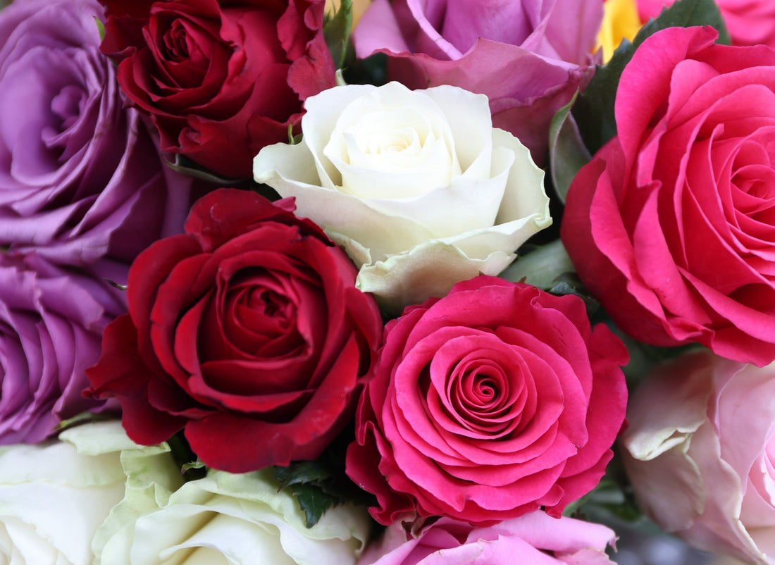 Bloemen plukvers thuis bezorgen door Pluukz