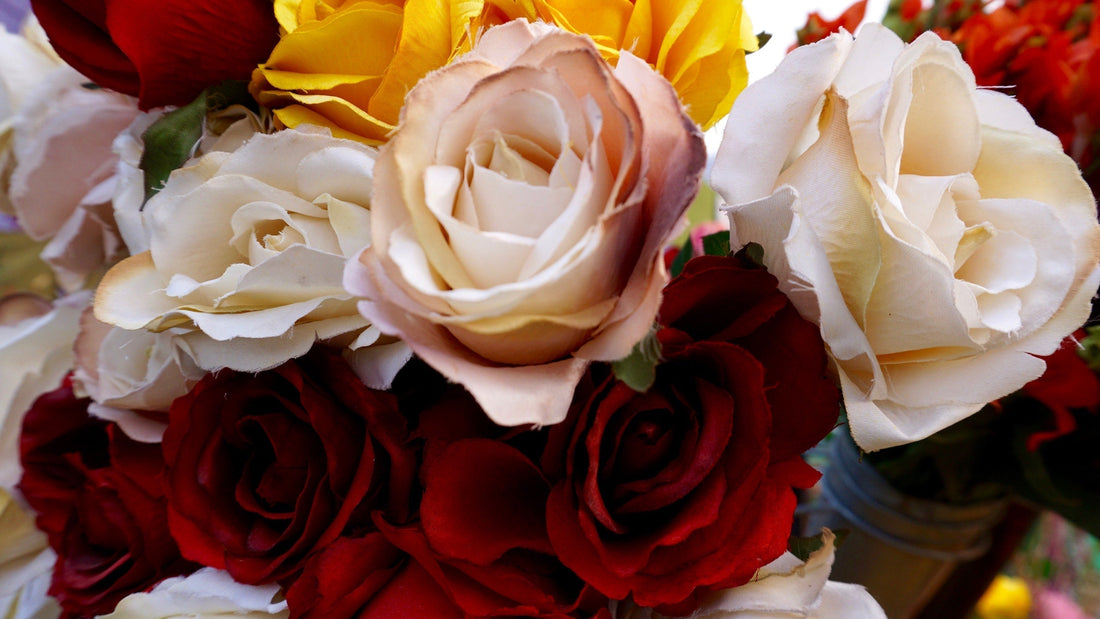 Rozen betekenis: hier van elke kleur een omschrijving