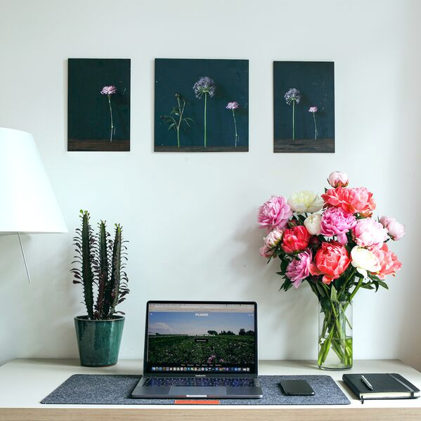 Het is bijna Nationale Secretaressedag! Hoe verras jij deze top collega’s?