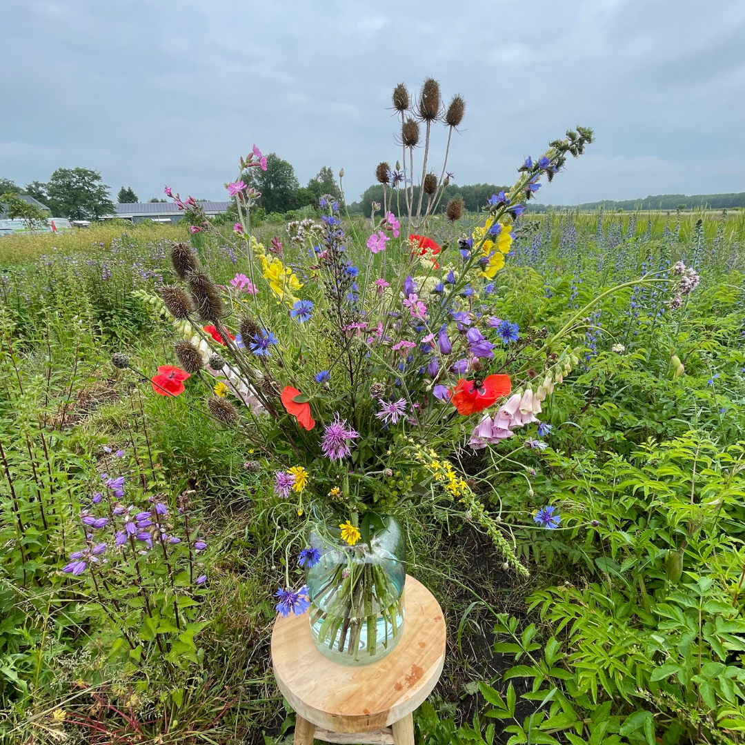 Seizoensbloemen boeket