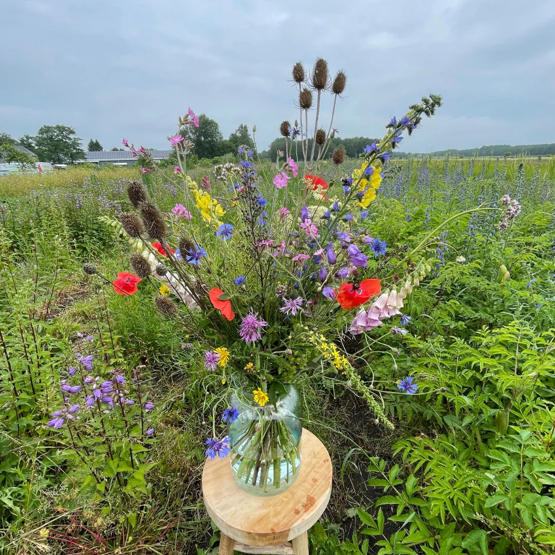 mooie bos bloemen direct van de kweker 