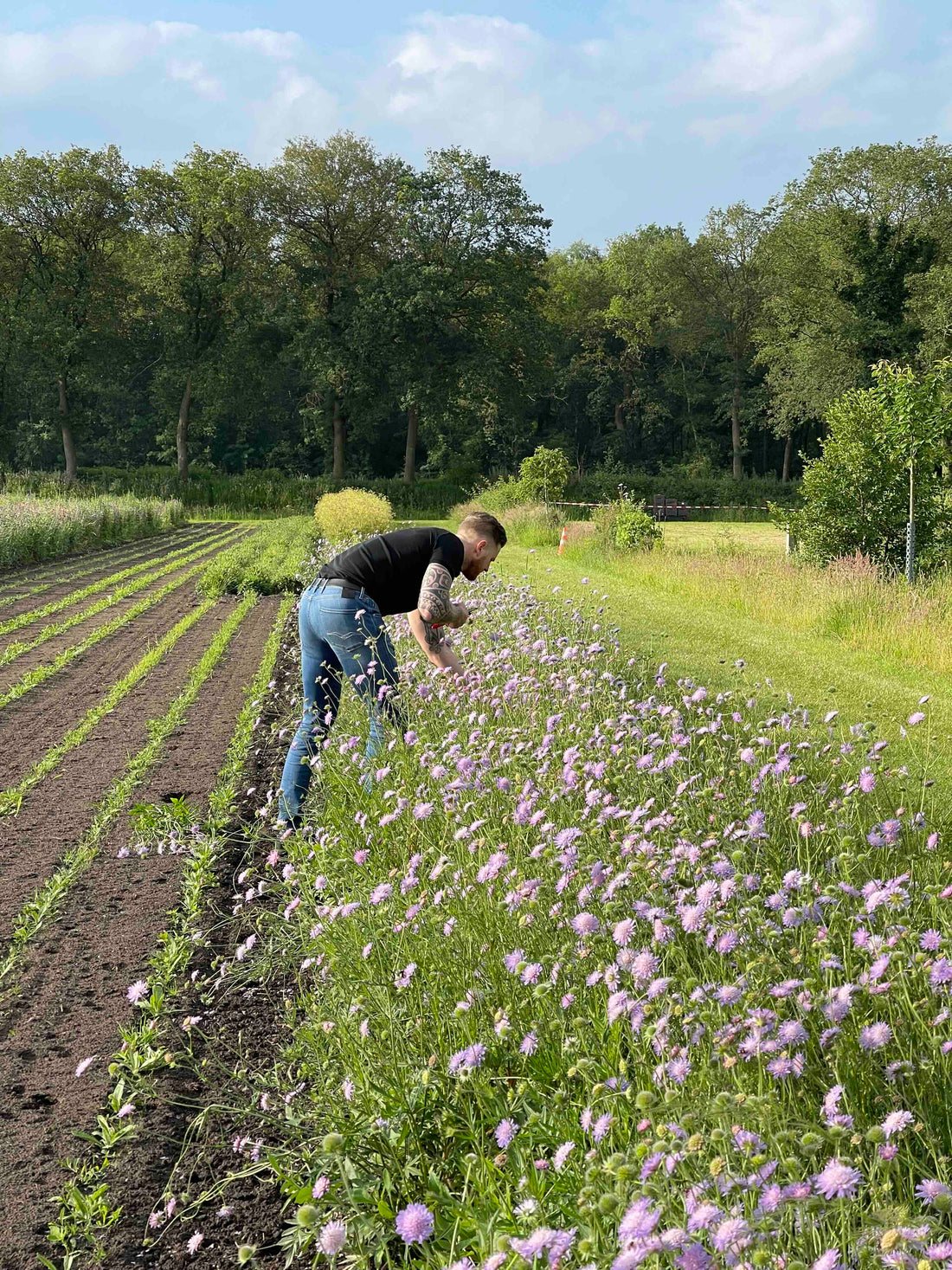 De Ultieme Bloemengids van PLUUKZ – Bonusdeel