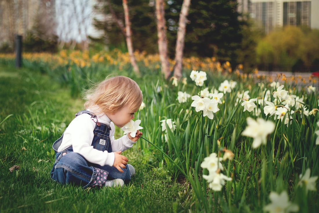 Prachtige witte bloemen, geef momenten en bruiloft bloem van Pluukz