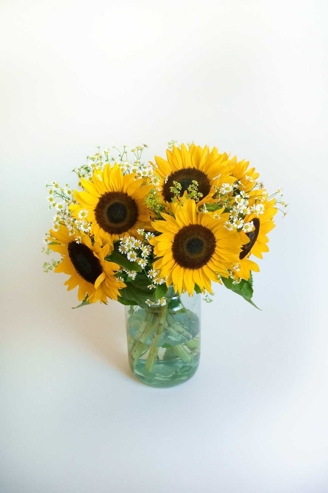 Zonnebloem biologisch – stralend boeket bestellen bij PLUUKZ