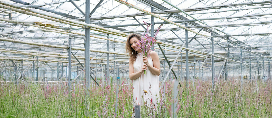 Bloemenabonnement biologisch – kleurrijk seizoensboeket bestellen bij PLUUKZ