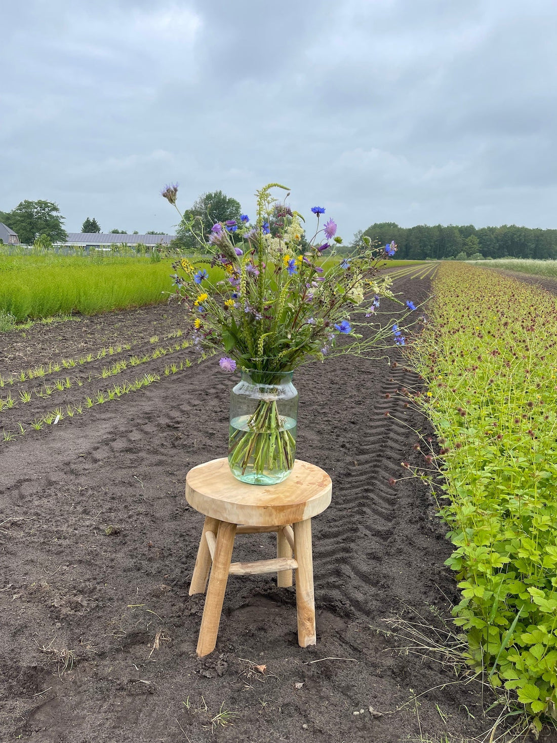 Inheems veldboeket vers geplukt