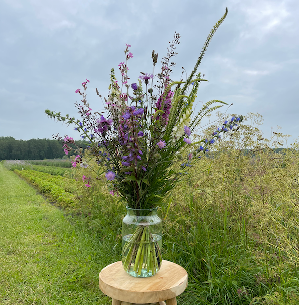 prachtig boeket inheemse bloemen van pluukz