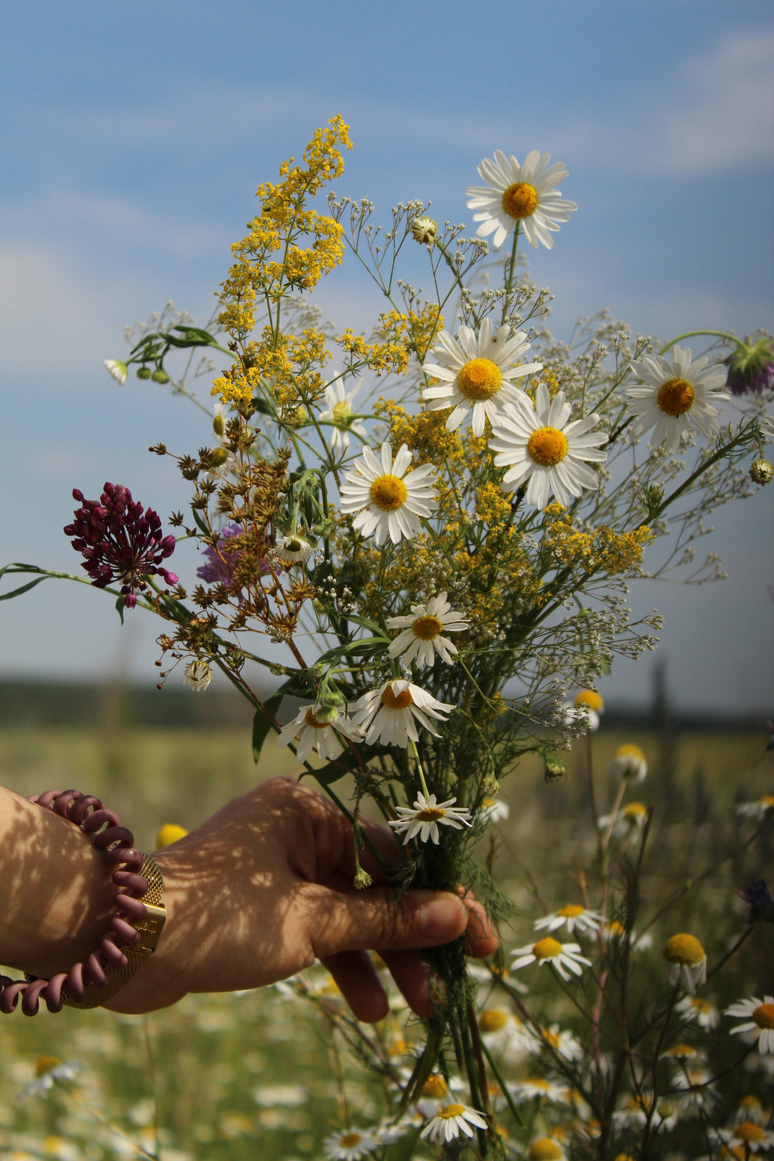 Betekenissen van bloemen en de kleuren