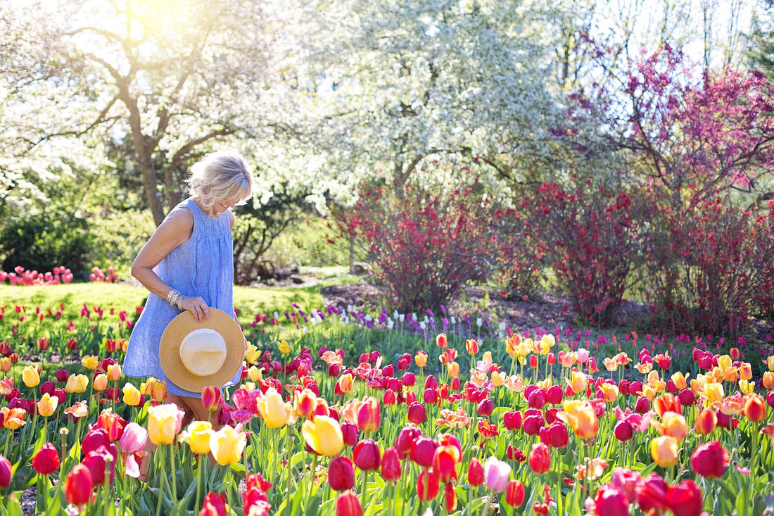 Bloemen pluktuin aanleggen? Hier allerlei tips over wanneer welke bloemen te planten!