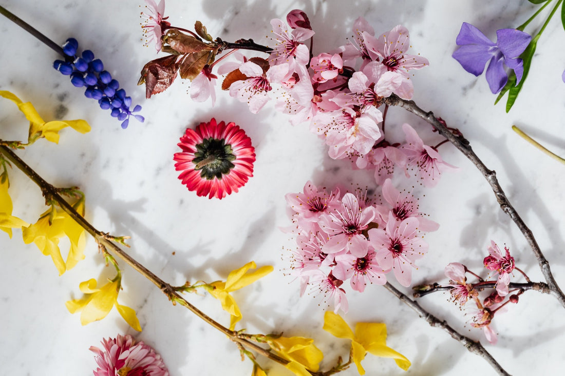Alles over unieke brievenbus bloemen geschenken. Gemakkelijk online te bestellen via onze online pluktuin!