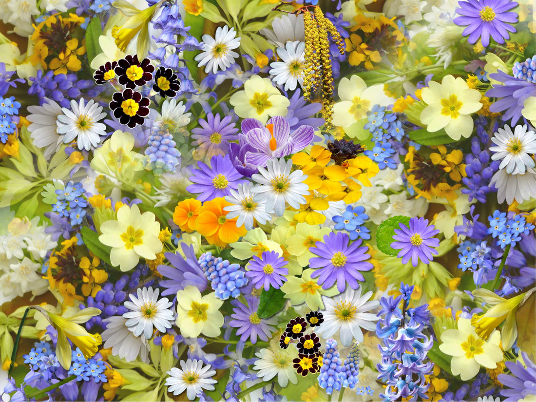 Top 5 bloemen op kleur!