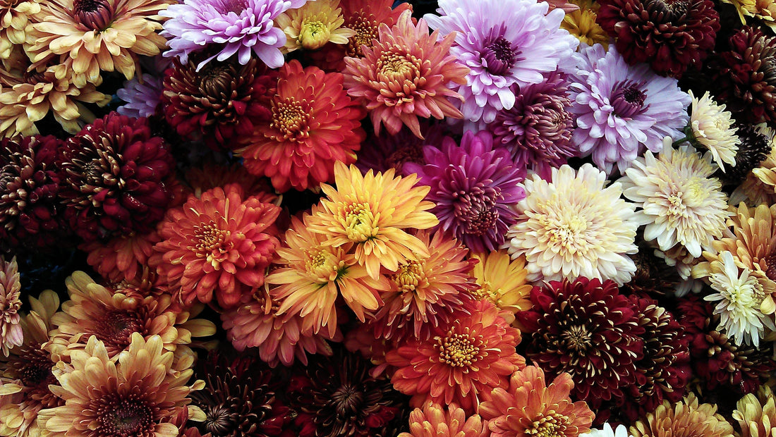 Tips bij het uitkiezen van bloemen! 