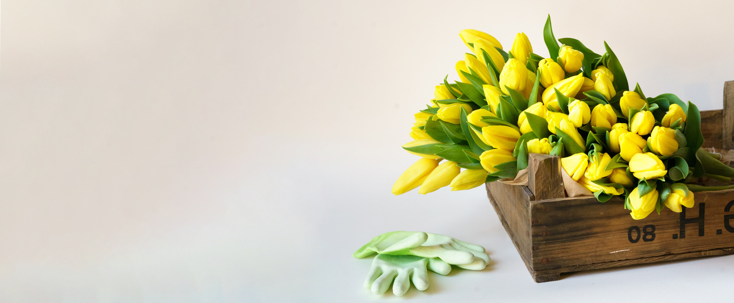 Onze plukverse bloemen betoveren je met een glimlach!