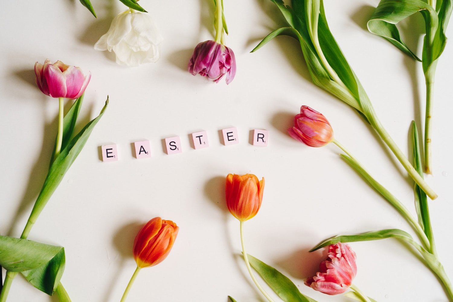 Pasen vier je met paasbloemen van Pluukz!