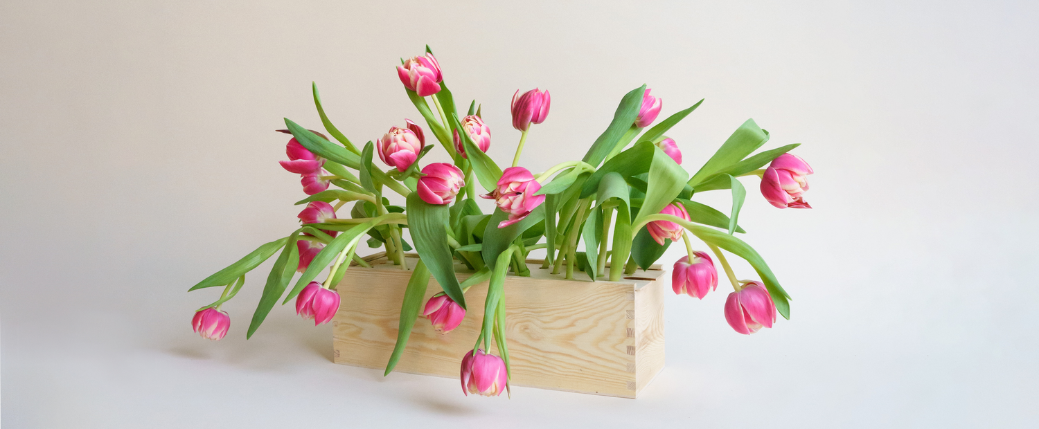 Tulpen kopen? Wij leveren tulpen plukvers van de teler aan huis