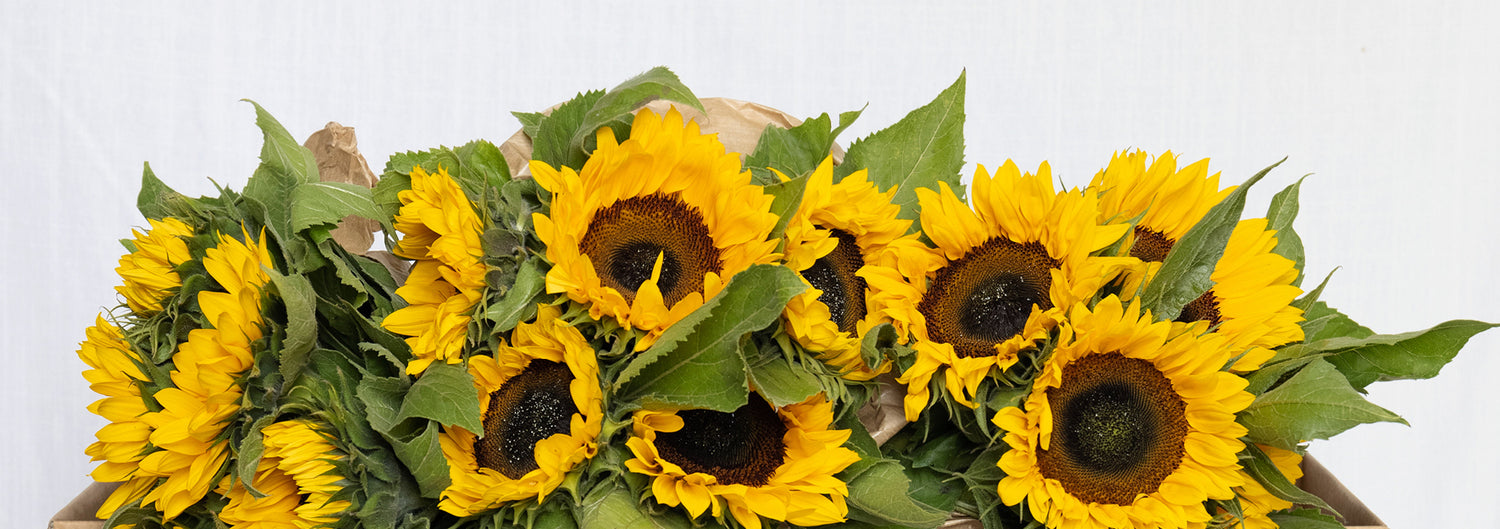 Bos bloemen: vers van de kweker bezorgd