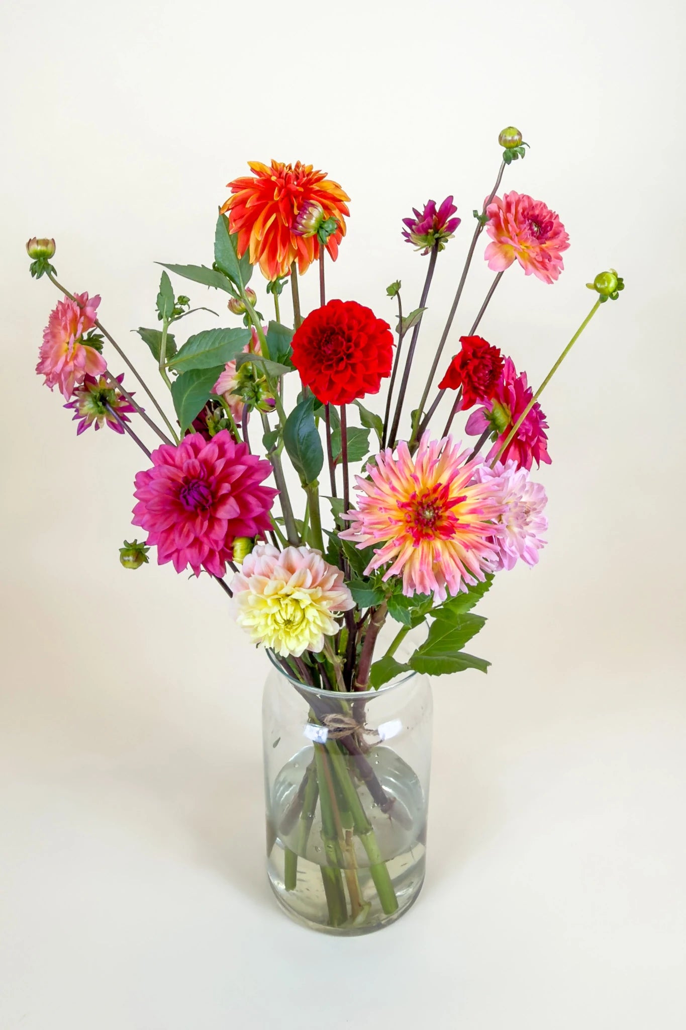 Biologisch boeket dahlia's in glazen vaas met rode, oranje, roze en magenta bloemen