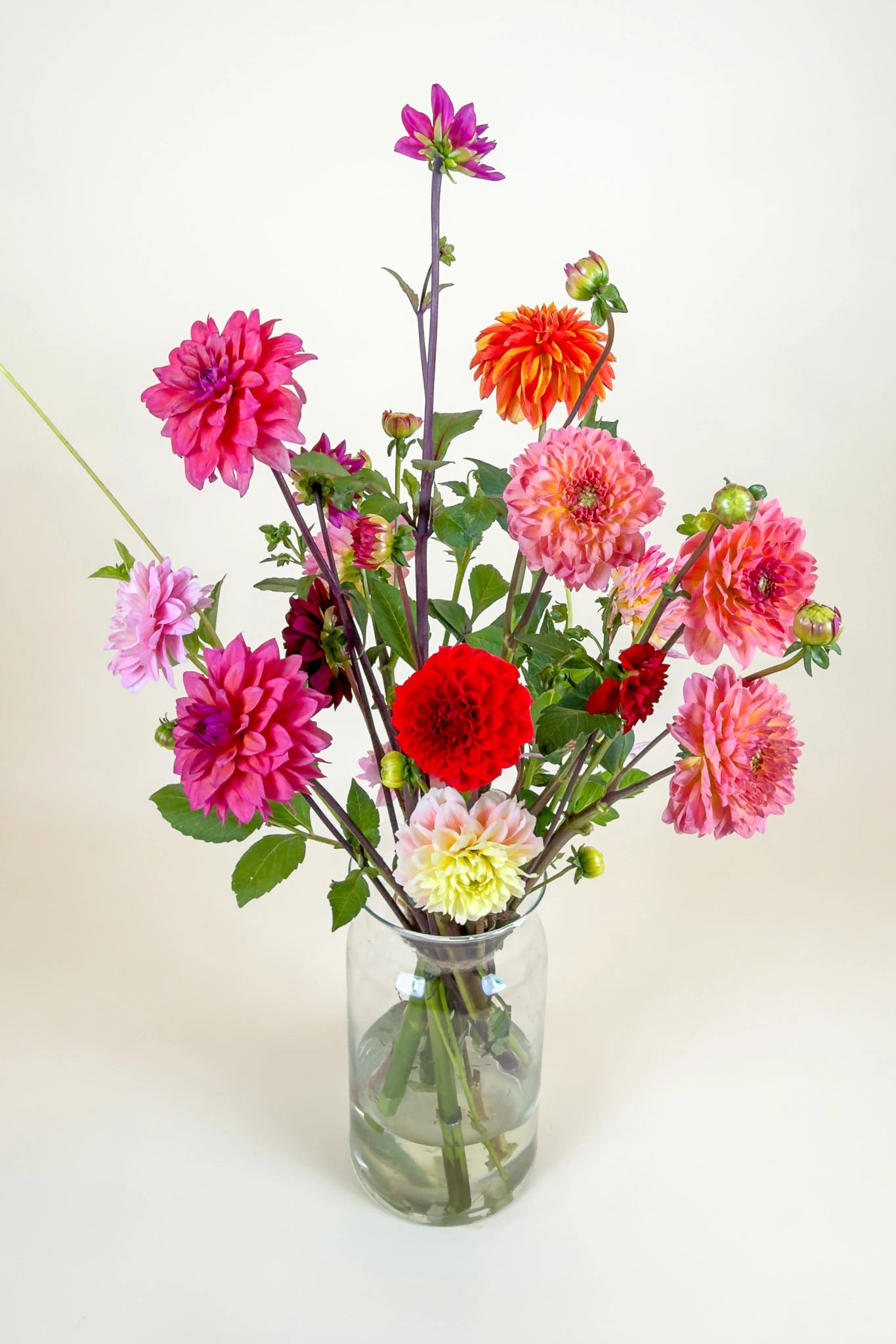 Biologisch dahlia boeket met magenta, roze en rode dahlia's in glazen vaas