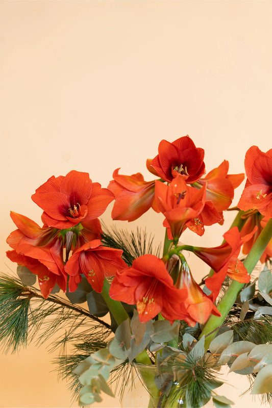 Kerstboeket vrolijkt je huis op! Bloemen bezorgen doen wij met liefde met snelle bezorging!