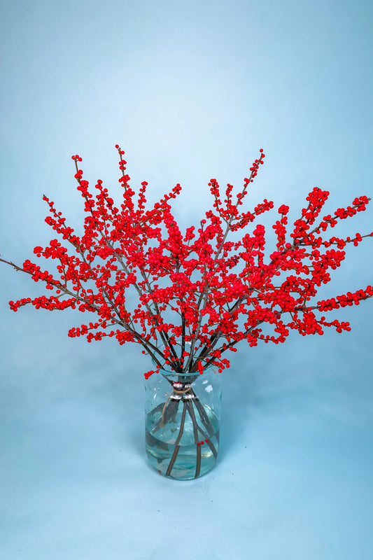 Rode Ilex takken biologisch geteeld, decoratief voor herfst en winterboeketten van Pluukz
biologische-bessen-takken-ilex-3.webp
