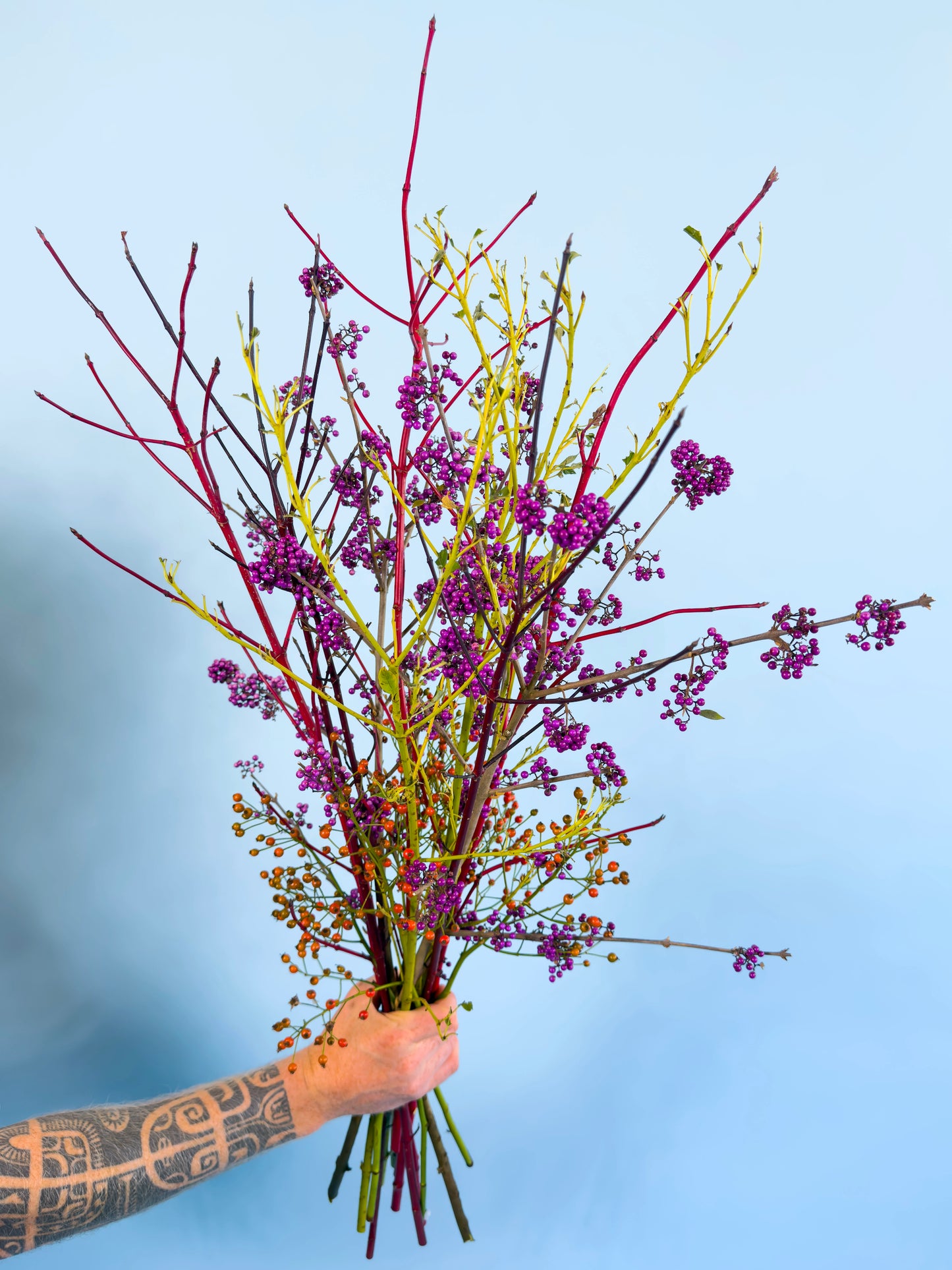 Biologische Siertakken | Branche Dance