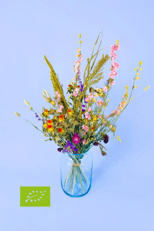 Duurzaam droogbloemen boeket roze tinten, lokaal geteeld, direct bestellen