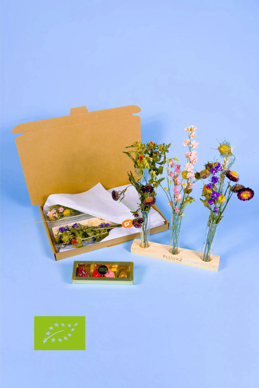 Biologische droogbloemen houder met vaasjes van PLUUKZ. Bestel vandaag