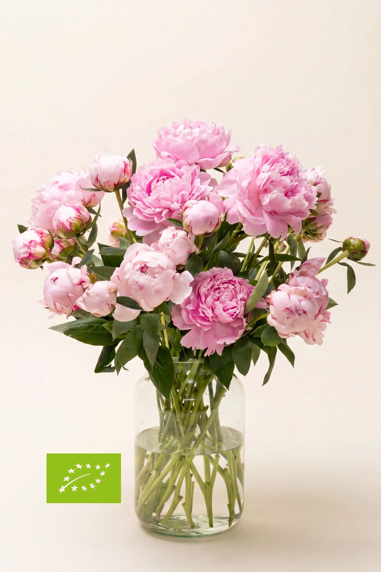 Verse biologische pioenrozen van Nederlandse bodem in een transparante glazen vaas. Duurzaam geteeld seizoensboeket met zachtroze bloemen en natuurlijke uitstraling.