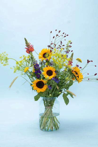 Verse zonnebloemen biologisch geteeld – perfect cadeau