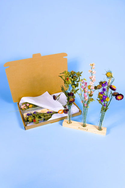 Duurzame droogbloemen decoratie voor huis. Koop bij PLUUKZ