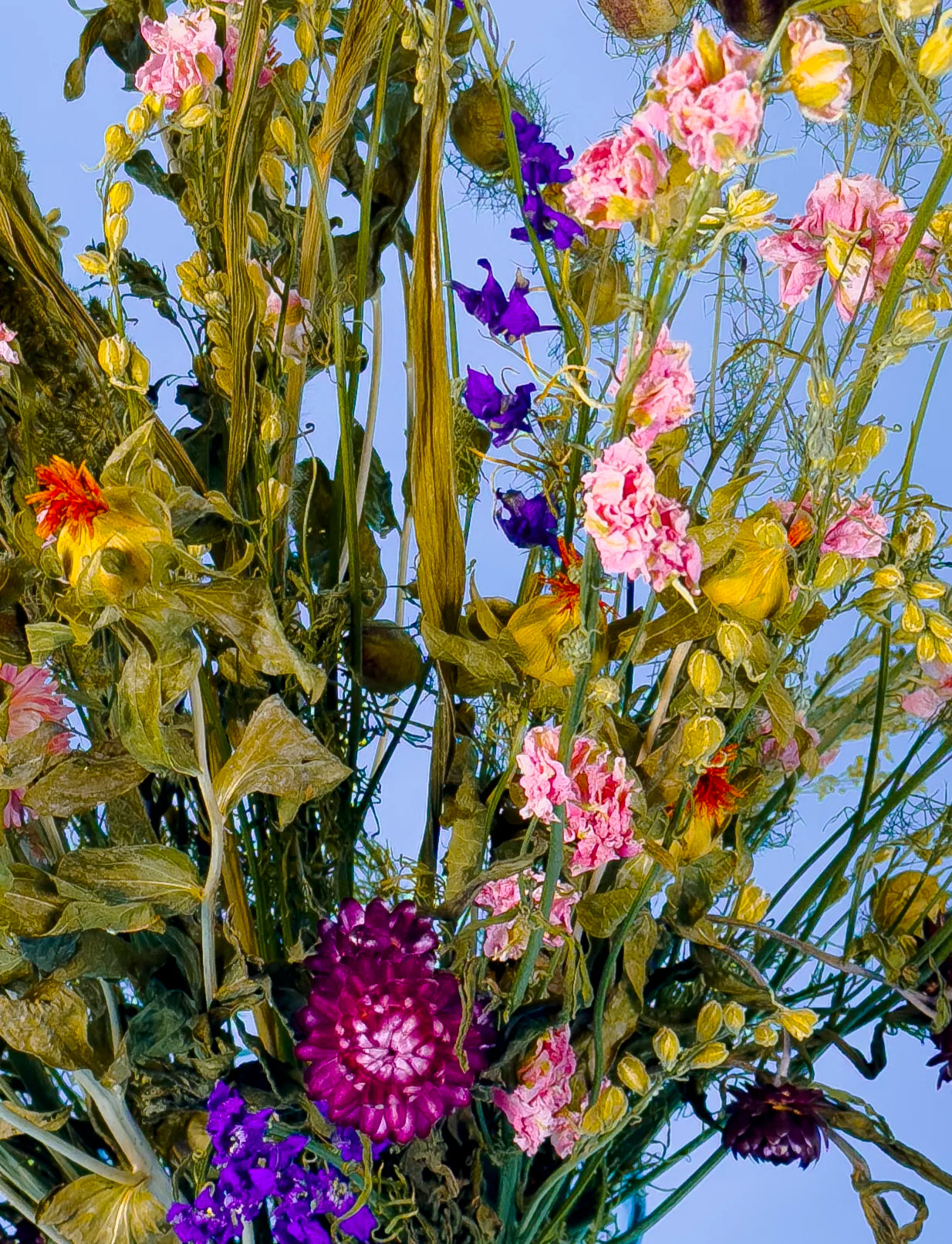 Roze droogbloemen zonder water, biologisch en lang mooi, koop nu