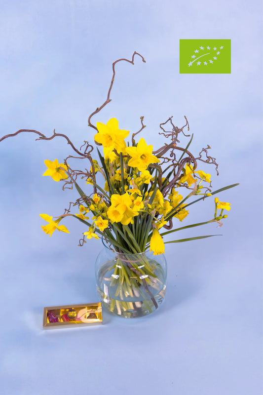 Bio voorjaarsboeket | Springtime