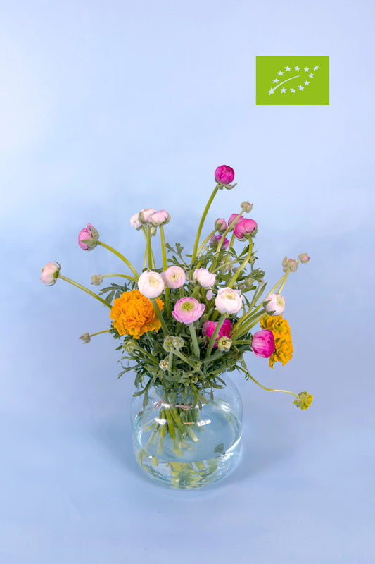 Biologische Ranonkels | Nature's Tune