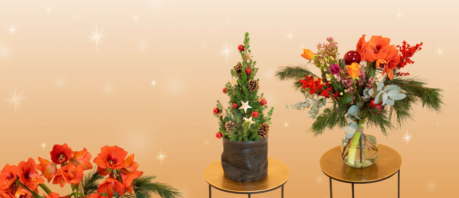 Bloemen bezorgen voor een feestelijke kerstsfeer. Kerstboomversiering met een mini kerstboom in een zwarte pot, gedecoreerd met dennenappels, sterren en rode kerstballen.