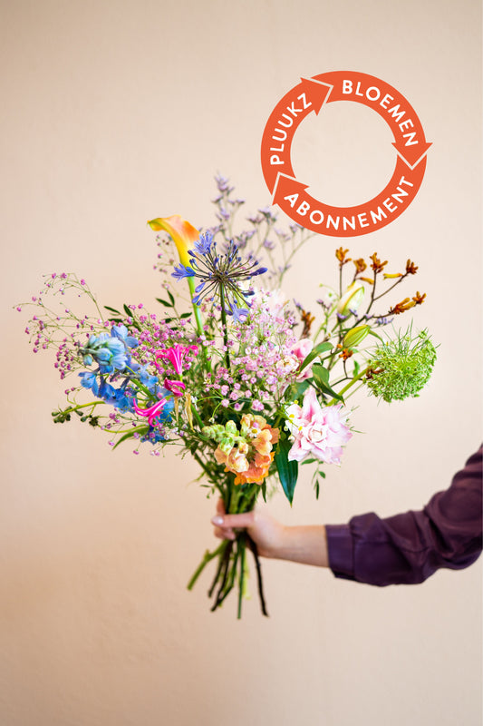 Plukboeket bloemen abonnement met plukverse bloemen!