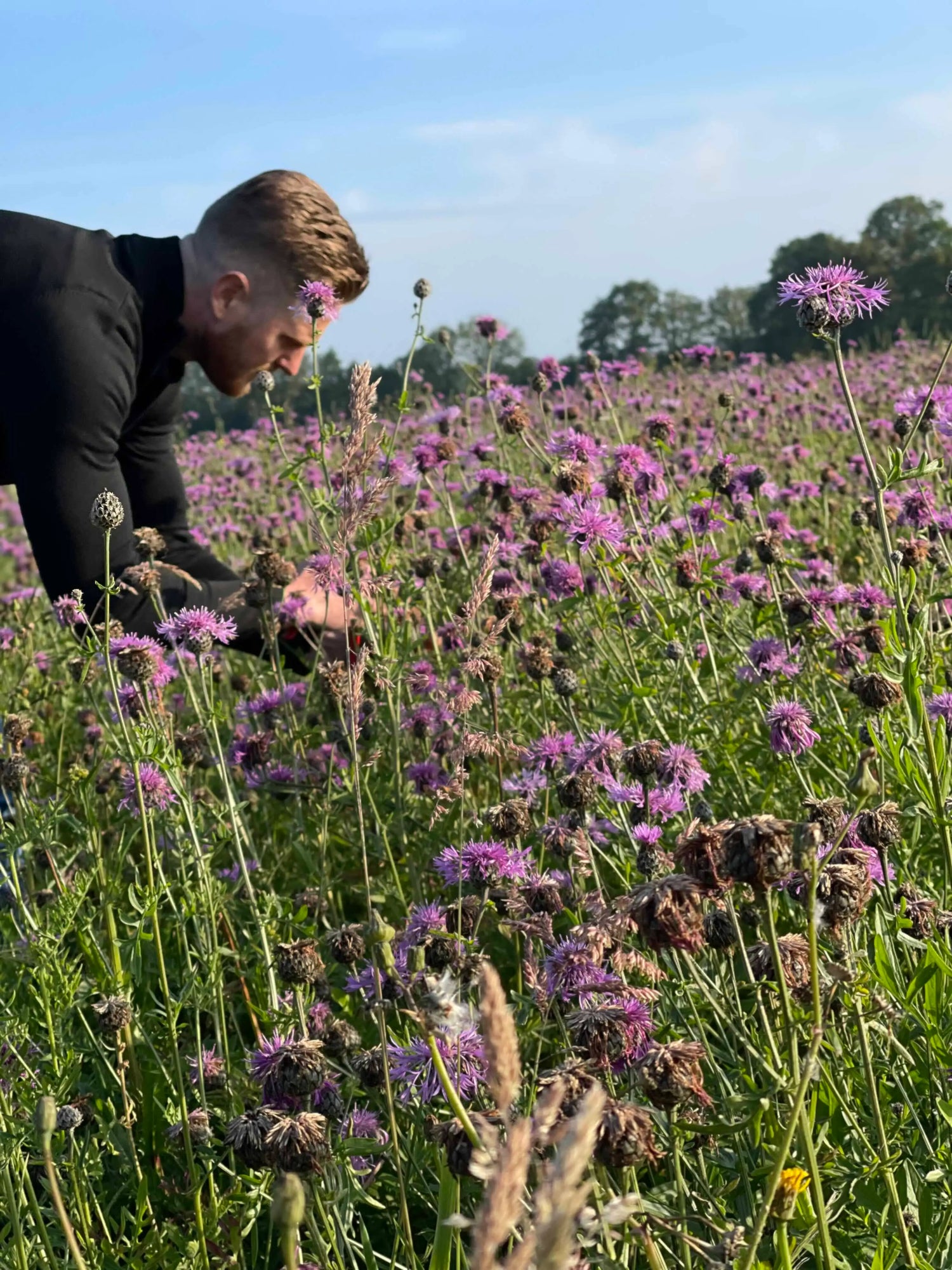 Onze bloemen komen altijd vers van de kweker
