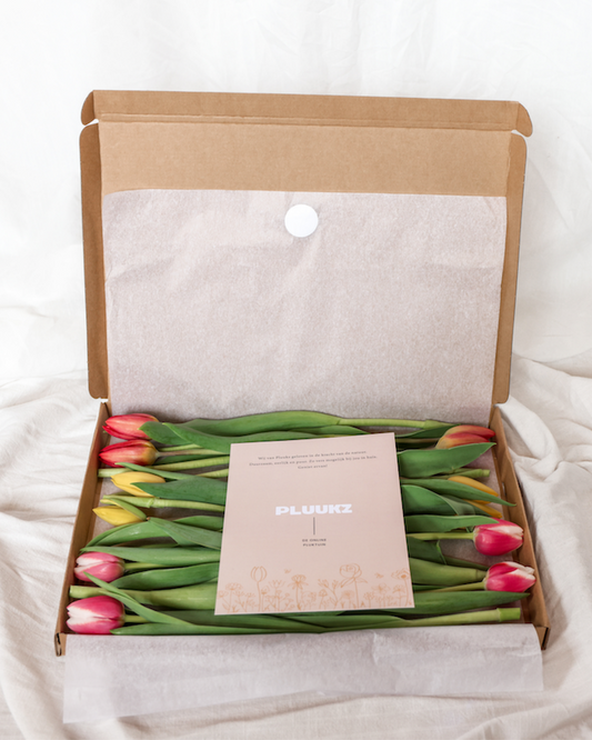 Brievenbus tulpen vers van de kweker als cadeau bezorgd! Een plukverse verrassing zo op de deurmat bezorgd!