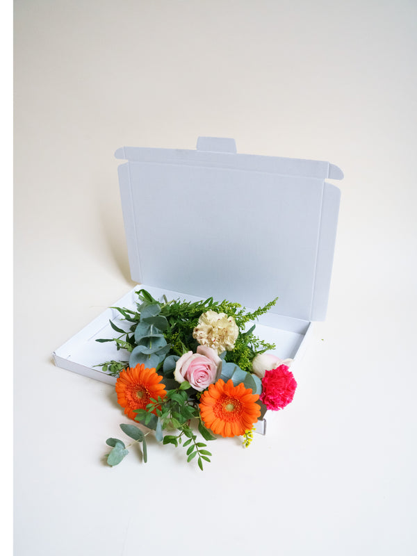 Brievenbusbloemen
