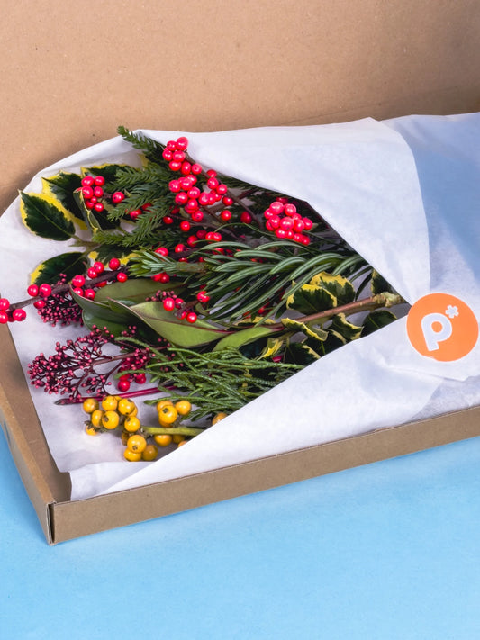 Compact kerstcadeau met duurzame takken en heldere bessen voor bezorging