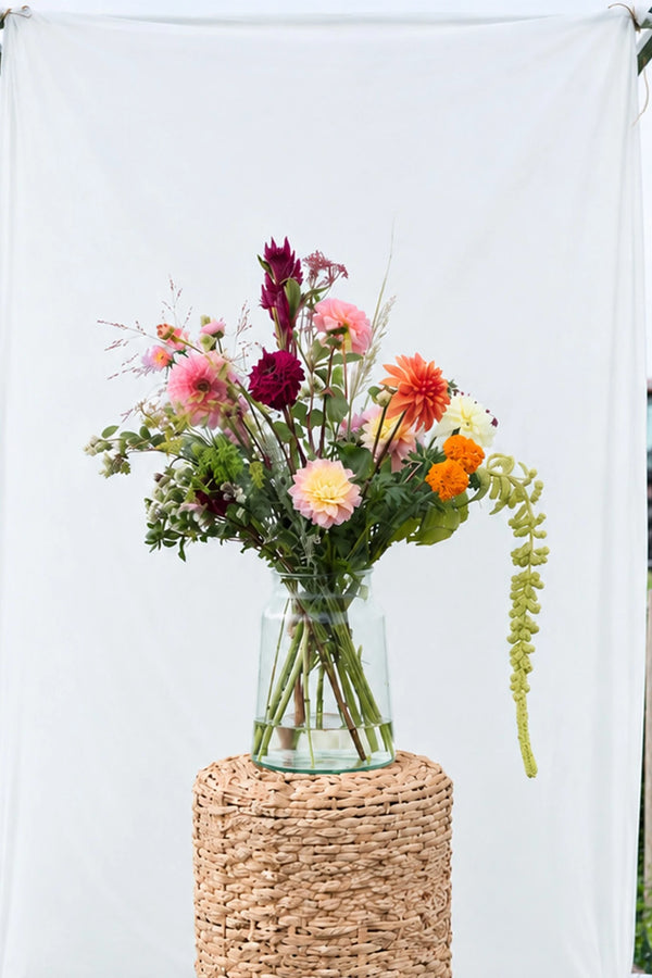 Dahlia oogst van nu