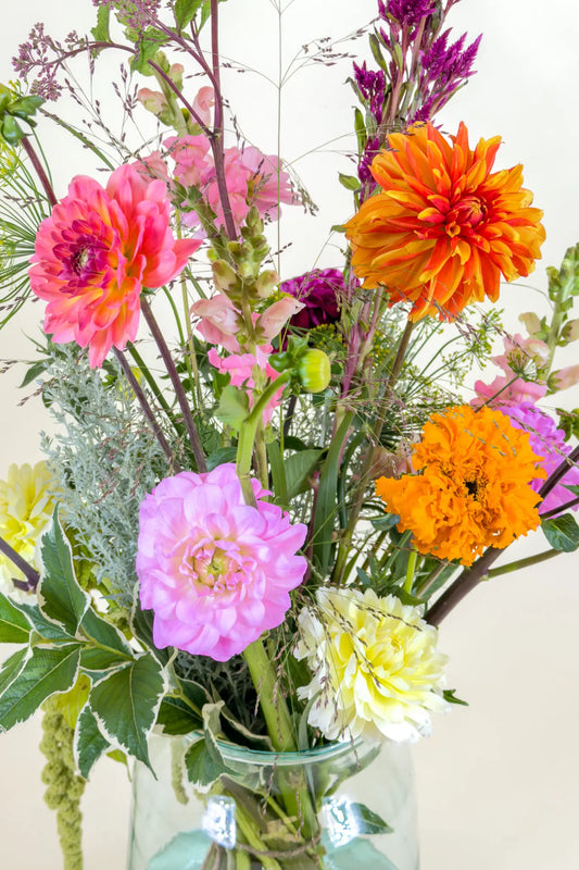 Close-up biologische dahlia's in warme kleuren, met oranje dahlia op de achtergrond