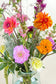 Close-up biologische dahlia's in warme kleuren, met oranje dahlia op de achtergrond