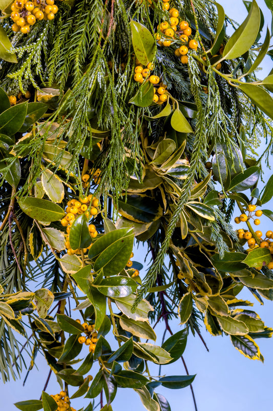 Kerstgroen met biologische takken kopen