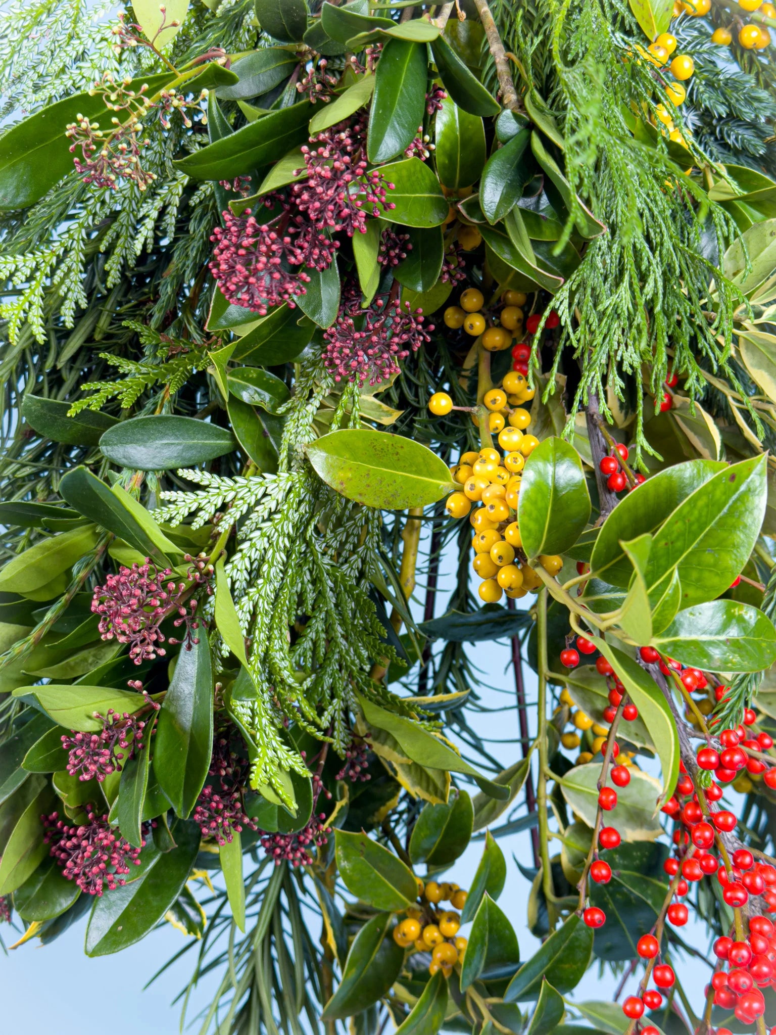 Duurzame kersttoef van Nederlandse bodem met fris groen en feestelijke uitstraling