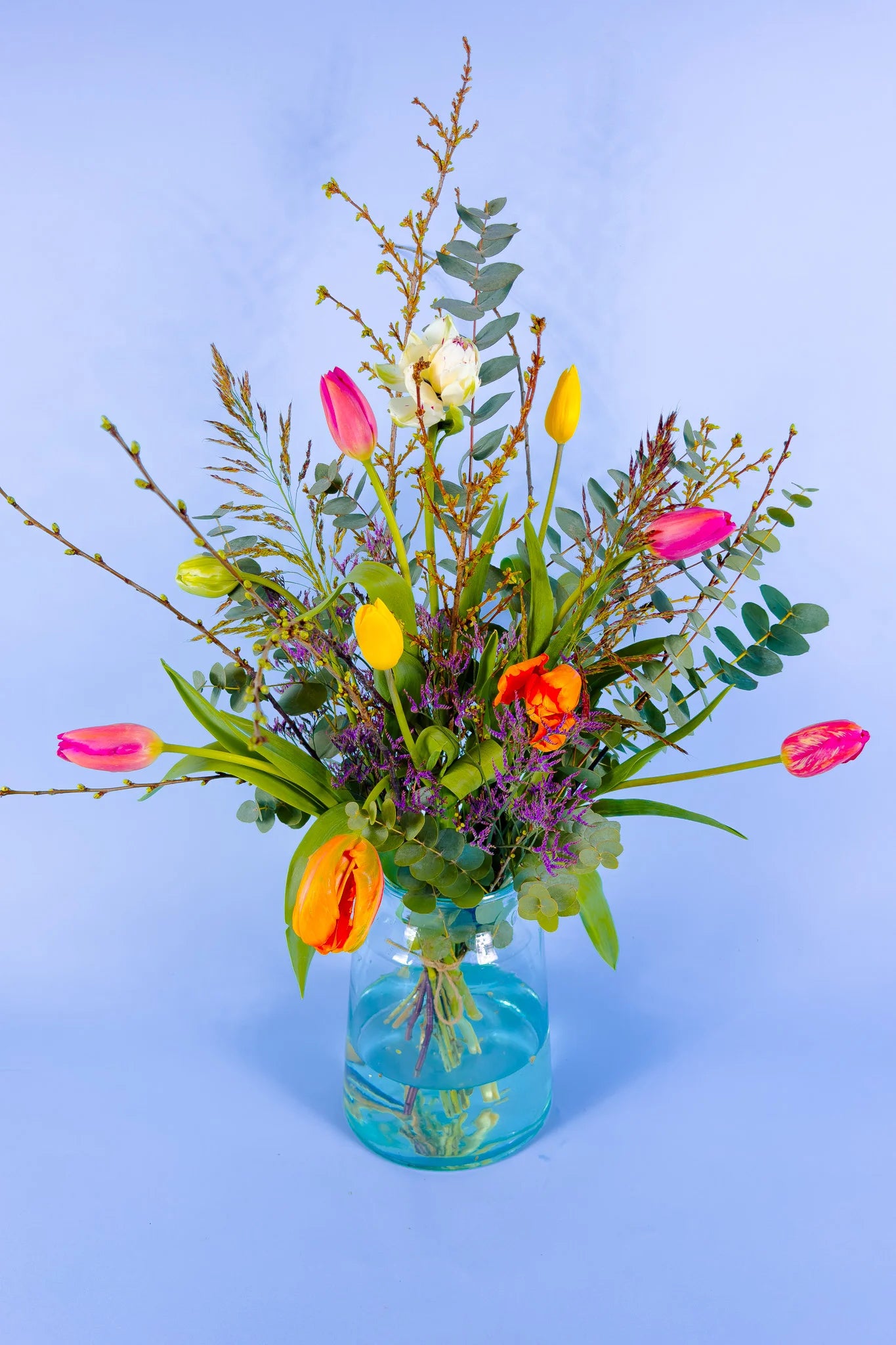 Franse tulpen van PLUUKZ plukvers geleverd. Bestel tulpen eenvoudig online