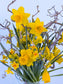 infezoemde foto narcissen boeket van pluukz
