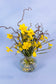 Biologische narcissen van pluukz