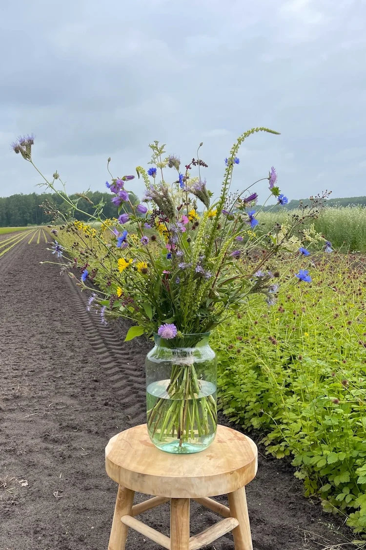 inheems pluktuin boeket puur natuur